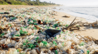 NIGERIA : la sensibilisation, la clé pour réduire la pollution de Lighthouse beach ?©DigArt/Shutterstock