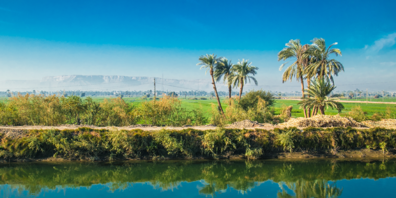 EGYPT: Irrigation water will soon be charged©Aleksandar Todorovic/Shutterstock
