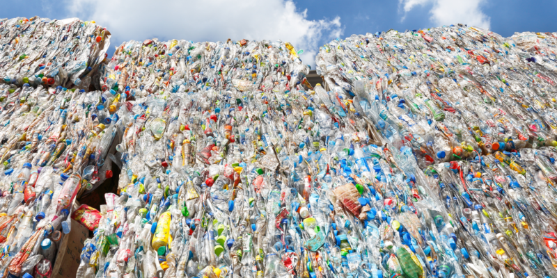 ÉGYPTE : 8 sociétés privées unies autour d’une charte pour le recyclage du plastique©Warut Chinsai/Shutterstock