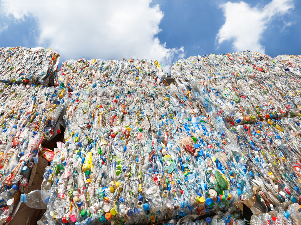 ÉGYPTE : 8 sociétés privées unies autour d’une charte pour le recyclage du plastique©Warut Chinsai/Shutterstock