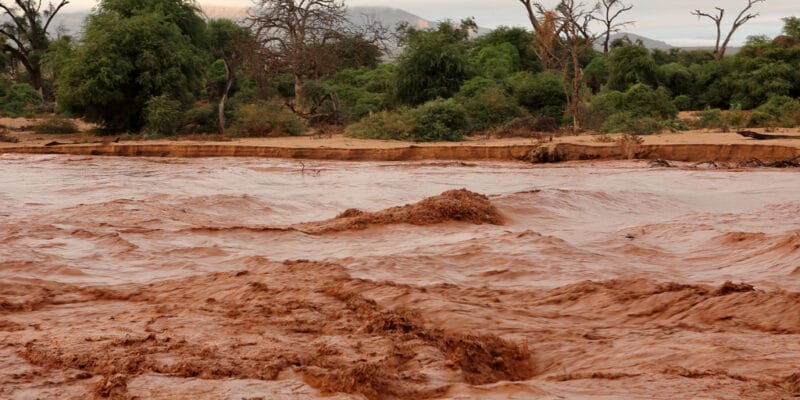 OUGANDA : retenir les eaux pluviales pour réduire les inondations à Teso©hecke61/Shutterstock