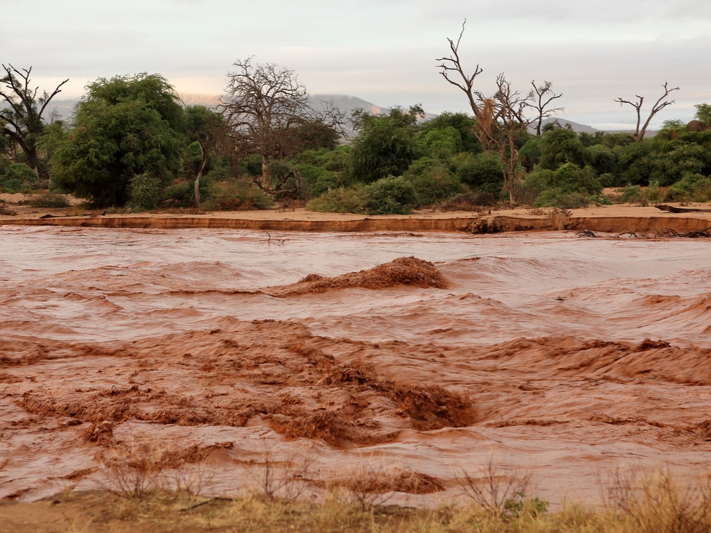 OUGANDA : retenir les eaux pluviales pour réduire les inondations à Teso©hecke61/Shutterstock