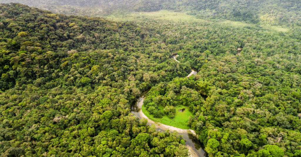 RDC : le PPFNC, pour une gestion intégrée et durable des forêts au nord du pays©Gustavo Frazao/Shutterstock