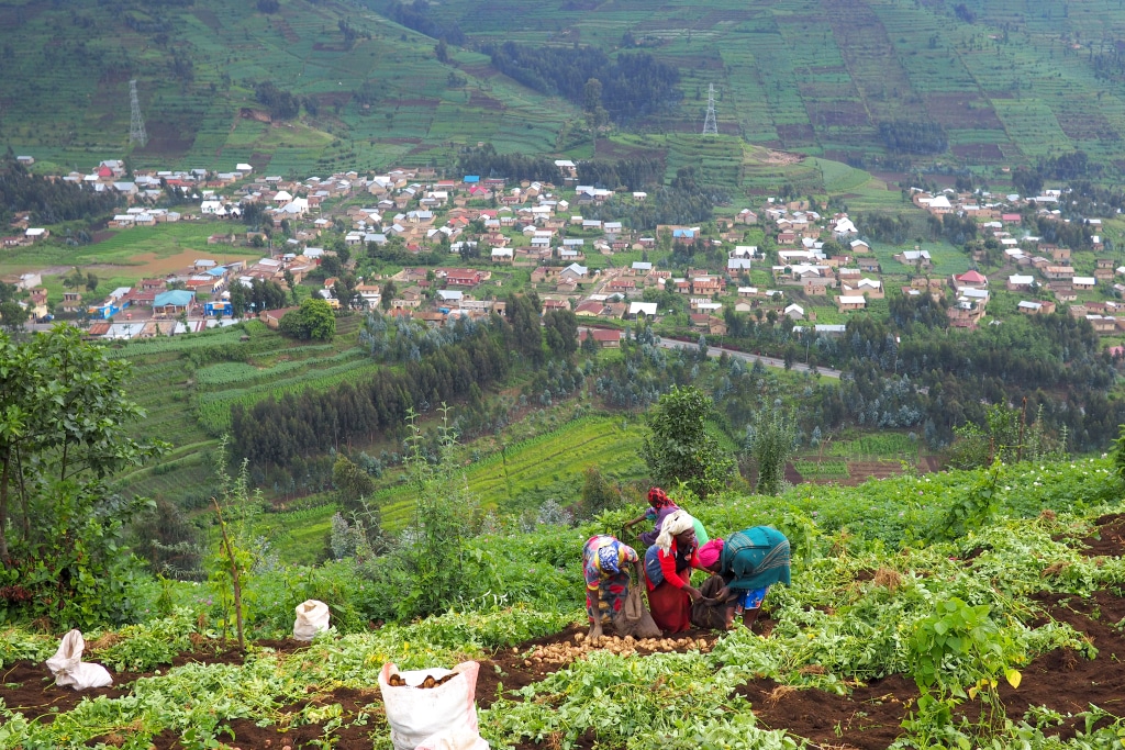 BURUNDI: GEF finances the restoration of agricultural land in Kayanza© fivepointsix/Shutterstock
