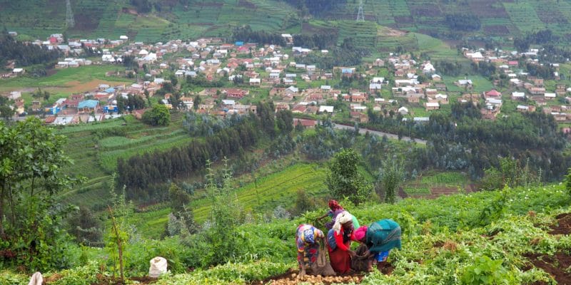 BURUNDI : le FEM finance la restauration des terres agricoles à Kayanza© fivepointsix/Shutterstock