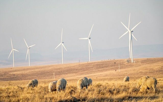 AFRIQUE DU SUD : le parc éolien Golden Valley (123 MW) de BioTherm entre en service© Biotherm Energy