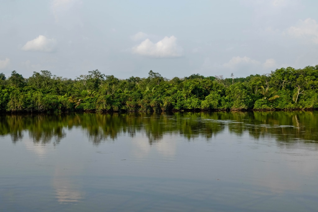 CONGO : le REDD+ pour la réduction des émissions de CO2 et la préservation des forêts ©Bogdan Skaskiv/Shutterstock
