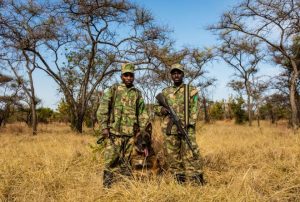  Des rangers d'Africa Parks dans le parc national de l'Akagera au Rwanda 