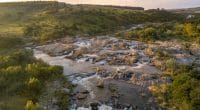 SOUTH AFRICA: Elandsberg classified as "protected environment" for its water resources©Aleks Kend/Shutterstock