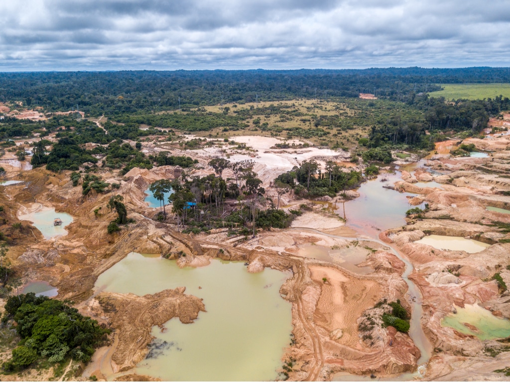 AFRIQUE : malgré les efforts de réduction, la déforestation s’accentue©PARALAXIS/Shutterstock