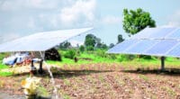 OUGANDA : la FAO dote Kalungu de quatre systèmes d’irrigation à l’énergie solaire©Tofan Singh Chouhan/Shutterstock