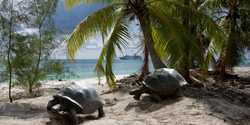 SEYCHELLES : l’UE et l’OEACP financent la préservation de la biodiversité à Aldabra©Altrendo Images/Shutterstock
