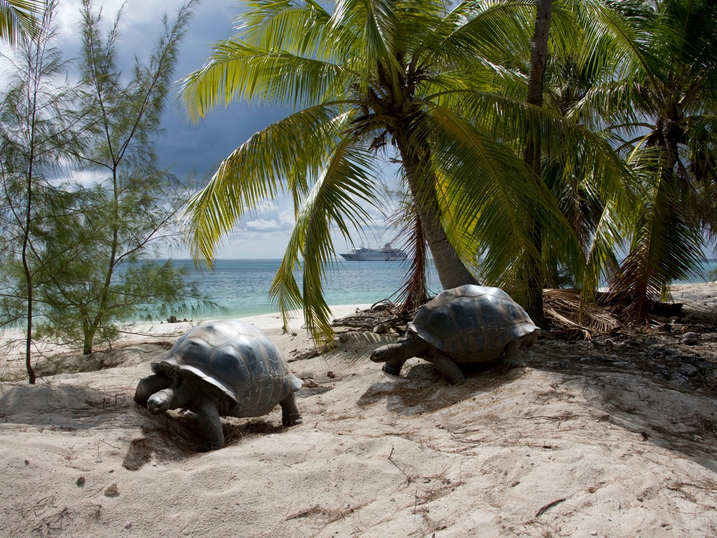 SEYCHELLES : l’UE et l’OEACP financent la préservation de la biodiversité à Aldabra©Altrendo Images/Shutterstock
