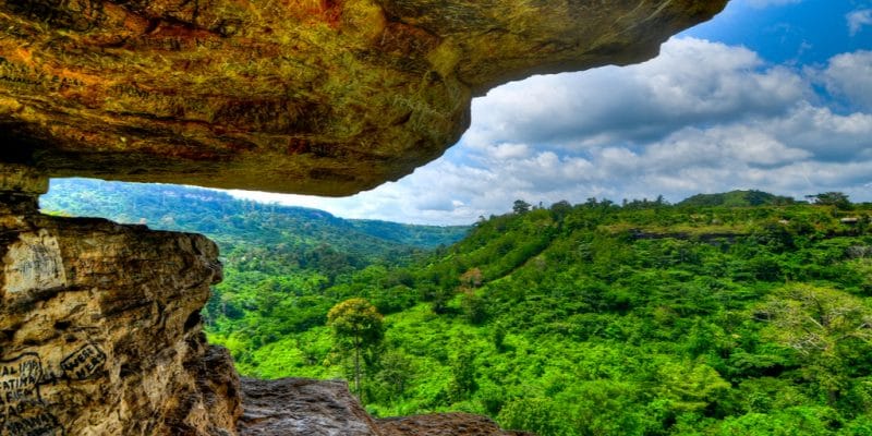 GHANA : le projet « LEAN » pour la préservation de la biodiversité©Felix Lipov/Shutterstock