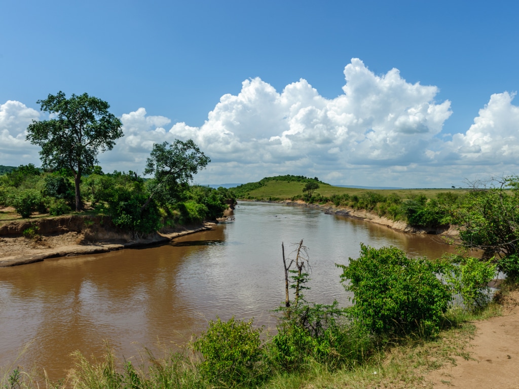 TANZANIE/KENYA : un guide pour l’utilisation rationnelle de l’eau de la rivière Mara©lewald/Shutterstock