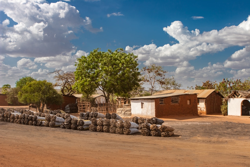 KENYA : Sima finance Renewvia pour l’accès à l’électricité via l’off-grid solaire © FOTOGRIN/Shutterstock