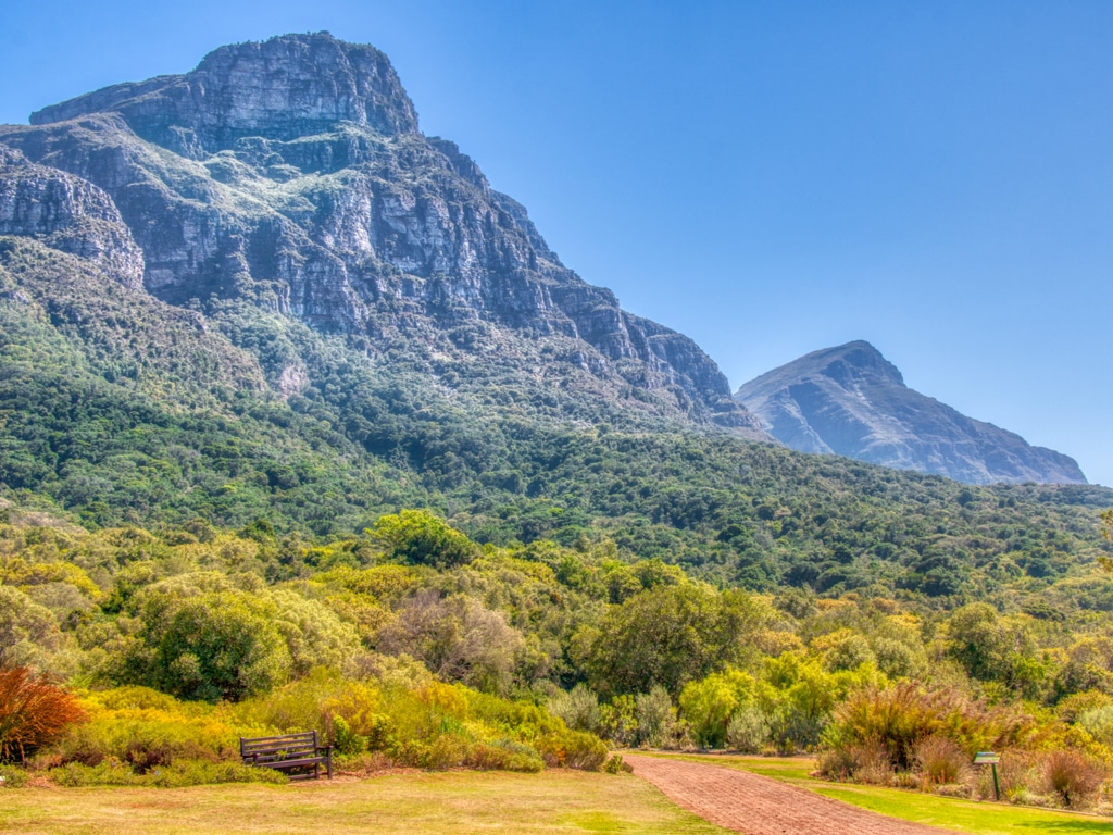 SOUTH AFRICA: AFD finances the preservation of Table Mountain Park©SR Productions/Shutterstock