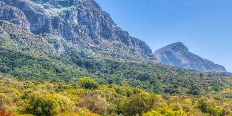 AFRIQUE DU SUD : l’AFD finance la préservation du Parc de la montagne de la table©SR Productions/Shutterstock