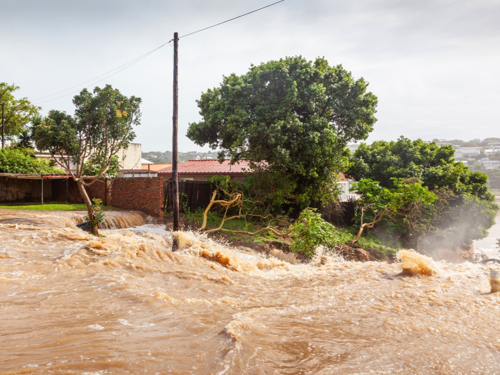 BÉNIN : la BID prête 105,6 M$ pour le drainage des eaux pluviales à Cotonou©David Steele/Shutterstock