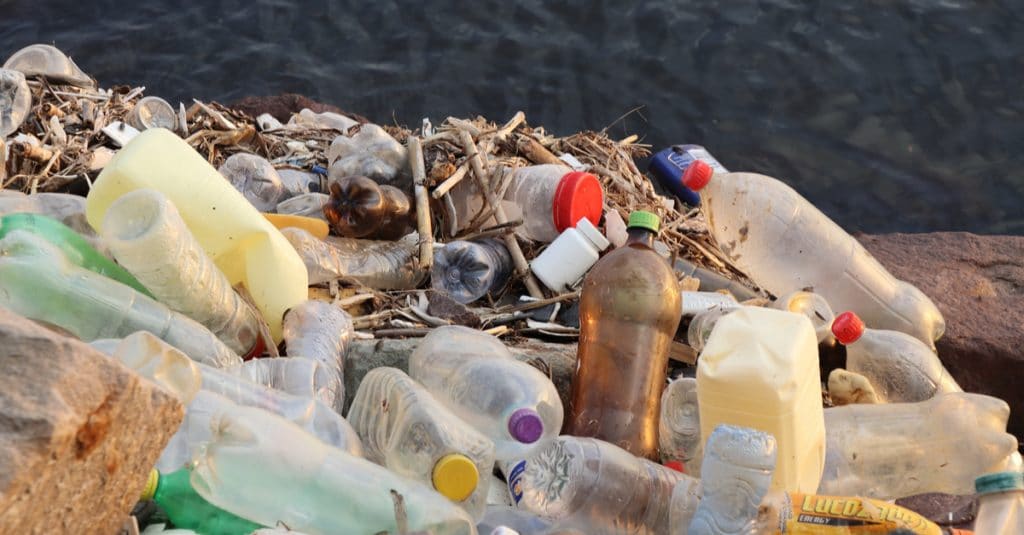 CAMEROON: WasteAid trains 164 young people in plastic waste recycling ©yoamod/Shutterstock