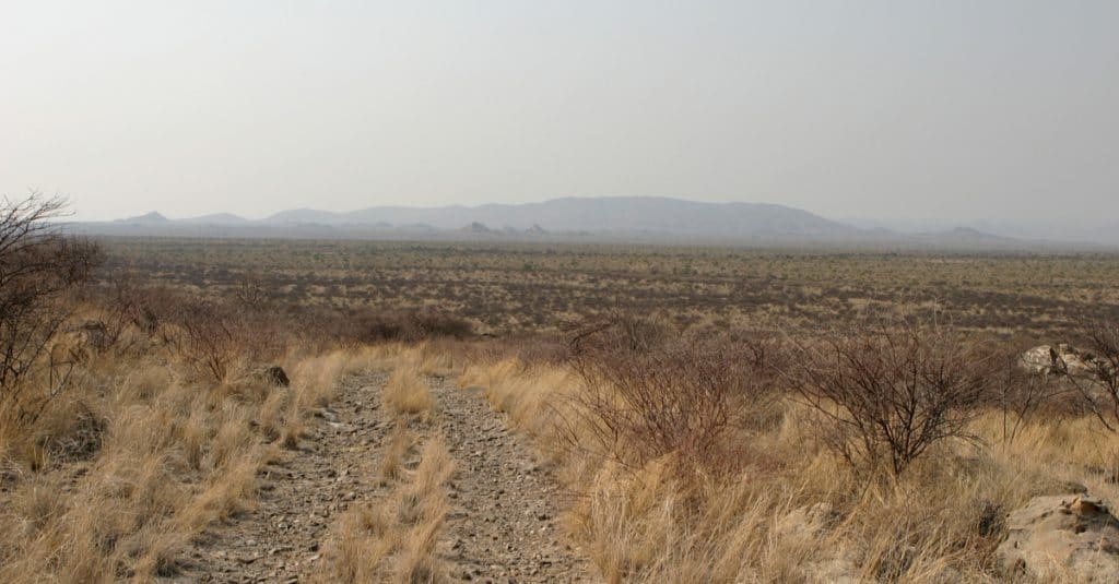AFRIQUE: 9 pays bénéficient d’un programme de restauration des terres arides ©Ralf Herschbach/Shutterstock