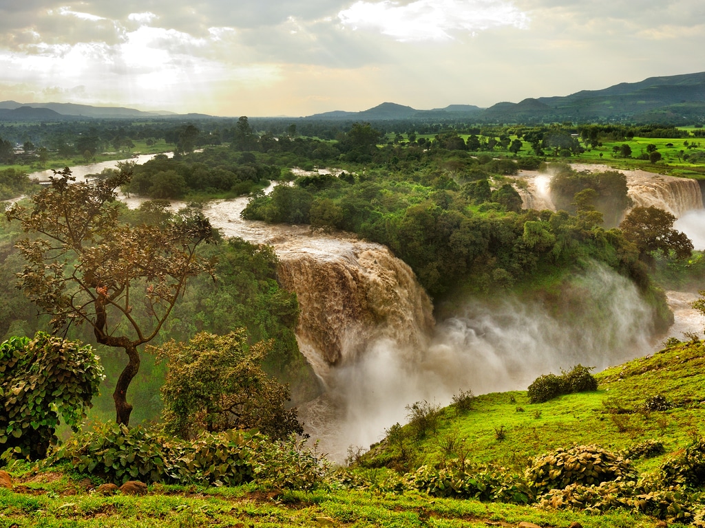 Journée mondiale de l’environnement : la restauration des écosystèmes en Afrique©Aleksandra H. Kossowska/Shutterstock