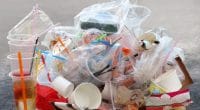 RWANDA : la PSF finance la gestion des plastiques à usage unique©DeawSS/Shutterstock