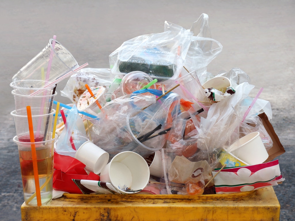 RWANDA : la PSF finance la gestion des plastiques à usage unique©DeawSS/Shutterstock