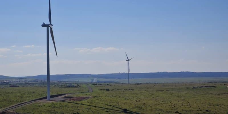SOUTH AFRICA: EDF connects Wesley-Ciskei wind farm (34.5 MW) to Eskom's grid © EDF
