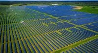 MALI : le français Legendre signe un PPP pour sa centrale solaire de Fana (50 MWc)© Roschetzky Photography/Shutterstock