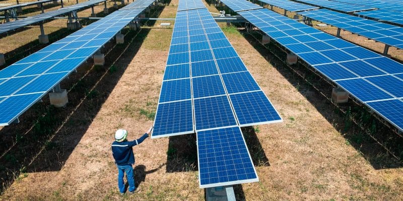 SENEGAL: GreenYellow to install a 1.56 MWp solar PV system for Senico© Kampan/Shutterstock