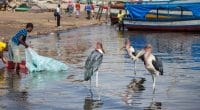 OUGANDA : le soutien à la campagne Océans propres pour réduire la pollution plastique ©Borkowska Trippin/Shutterstock