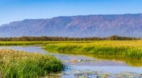 AFRIQUE: l’UICN présente la liste rouge des écosystèmes fluviaux et lacustres©Jen Watson/Shutterstock