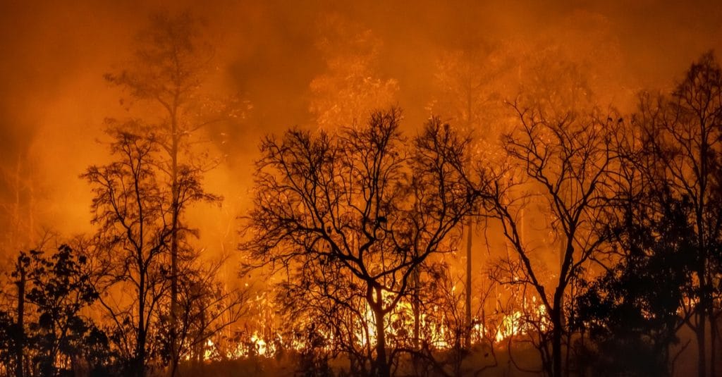MADAGASCAR: a geoportal alert against bushfires ©Toa55/Shutterstock©Toa55/Shutterstock