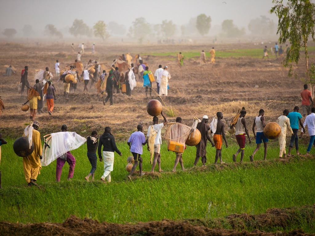NIGERIA : Abuja fournit 3 000 hectares de terres irriguées aux agriculteurs de Jigawa©Teo-Inspiro International/Shutterstock