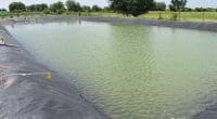 OUGANDA : un lac artificiel pour fournir de l’eau aux agriculteurs de Lopei©Alchemist from India/Shutterstock