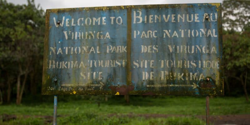 RDC : l’exploitation pétrolière dans le parc des Virunga divise©LMspencer/Shutterstock