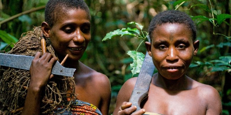 AFRIQUE CENTRALE : intégrer les communautés dans la gestion des aires protégées©GUDKOV ANDREY/Shutterstock