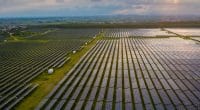 ZAMBIE : Ultra Green lance le chantier de sa centrale solaire (200 MWc) en septembre © fuyu liu/Shutterstock