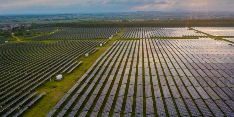 ZAMBIE : Ultra Green lance le chantier de sa centrale solaire (200 MWc) en septembre © fuyu liu/Shutterstock