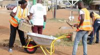 GHANA: in Ashanti, a new project for sanitation and reforestation©Zoomlion