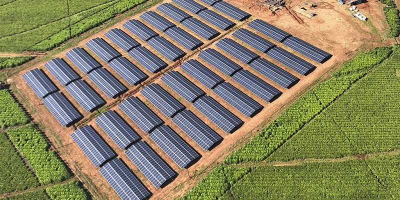 ZIMBABWE : Blockpower fournit du solaire hybride pour la production du thé à Chipinge© Blockpower