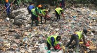 CAMEROON: SABC initiative to collect 1,441 tonnes of plastic waste©Red-Plast