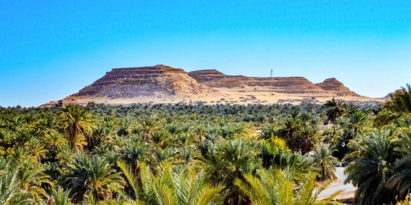 EGYPT: Azelio to install 20 energy storage units for green agriculture © Hazem omar/Shutterstock