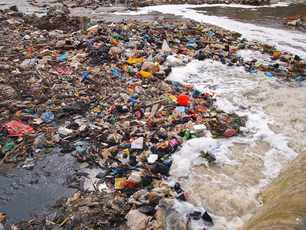 TUNISIE : Tinja rejoint une initiative de WWF pour réduire la pollution plastique©Nicram Sabod/Shutterstock