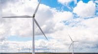 AFRIQUE DU SUD : Revego rachète les actifs de Metier dans 3 parcs éoliens de 360 MW © petrmalinak/Shutterstock