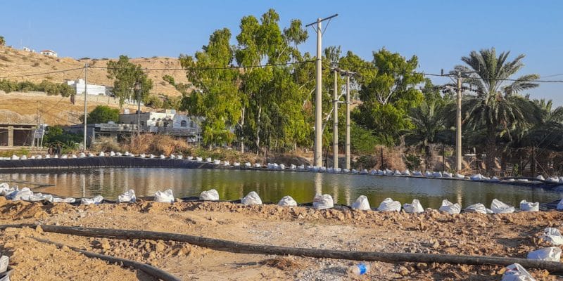 ÉGYPTE : Emirates NBD finance la réutilisation des eaux usées agricoles à Al-Hamam©Mohammad Arar/Shutterstock