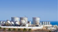 ÉGYPTE : 2,5 Md$ pour la construction de 17 usines de dessalement à l’énergie solaire ©irabel8/Shutterstock