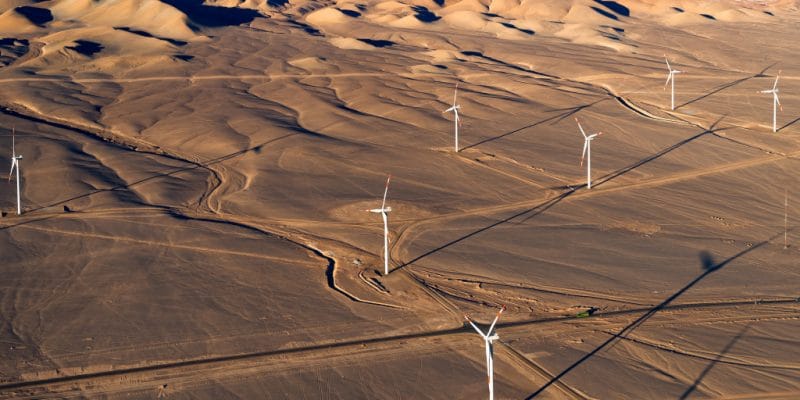 ÉGYPTE : Lekela connecte une partie de son parc éolien de West Bakr au réseau © Jose Luis Stephens/Shutterstock