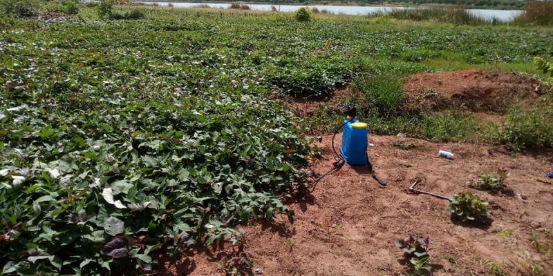 BURKINA FASO: Rehabilitating dams to improve water supply©Burkinabe Ministry of Water and Sanitation
